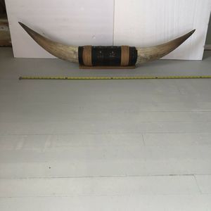 Vintage 48" MOUNTED STEER / BULL HORNS Pre- 1970's